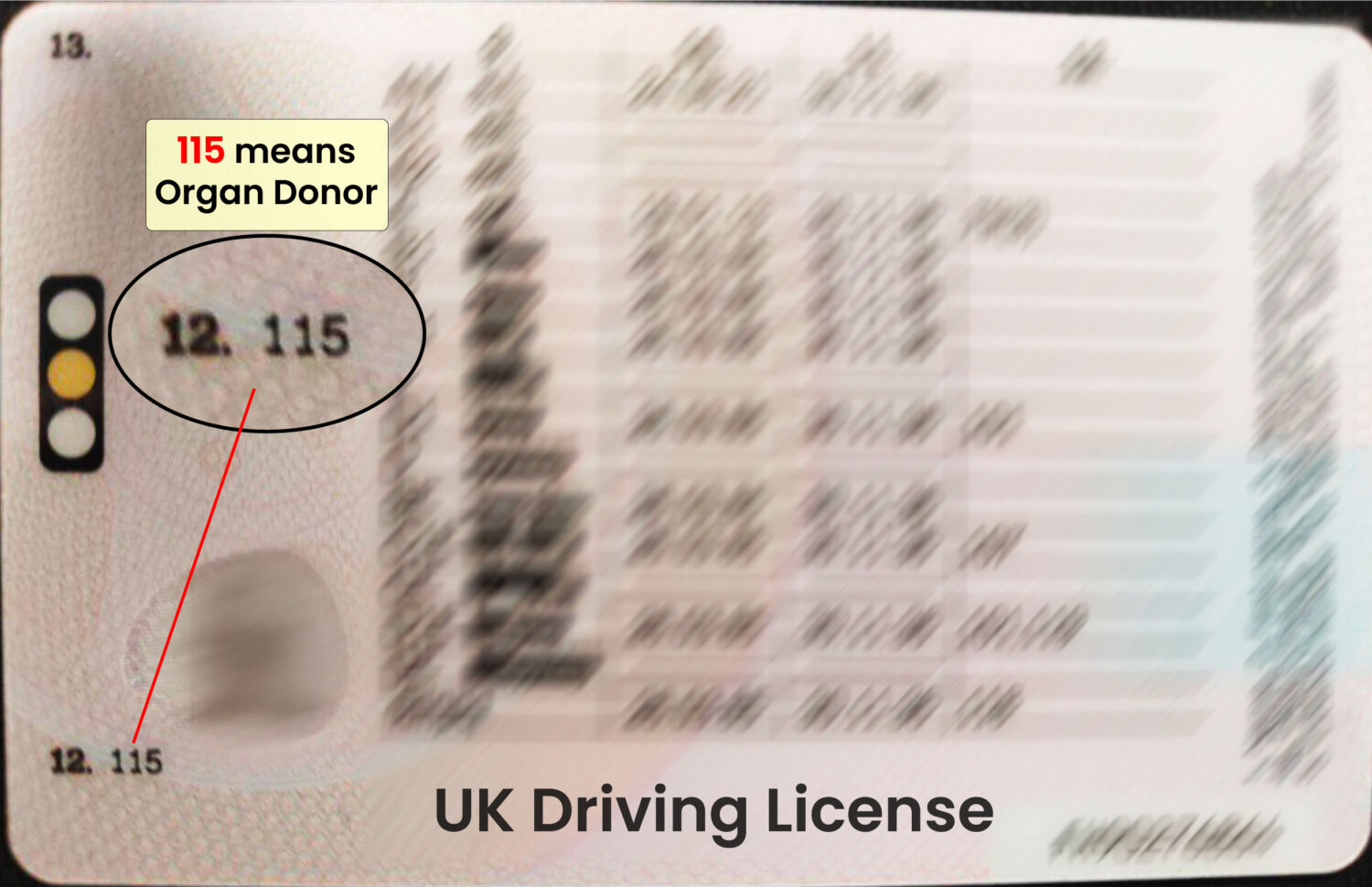 UK Driving License Organ Donor